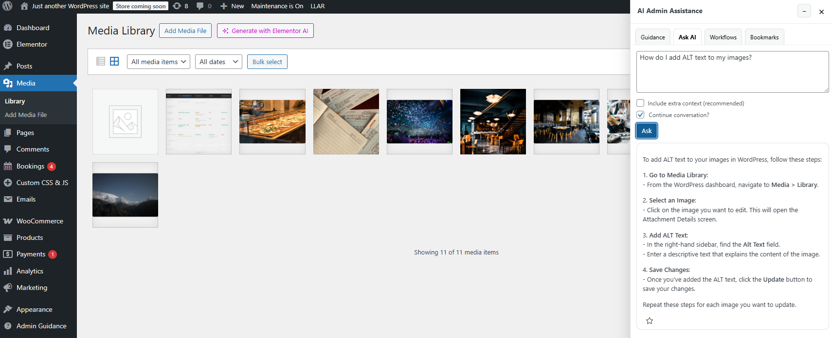 WordPress admin assistant for support teams